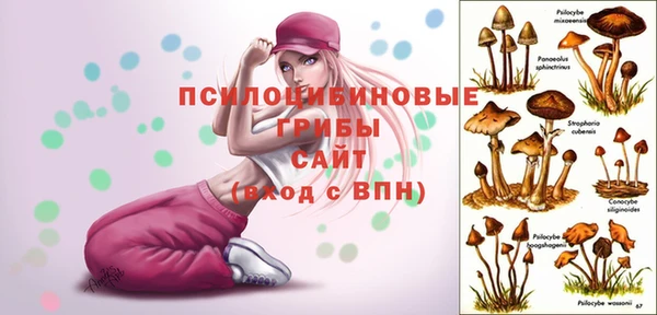 спайс Баксан